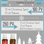 december-2013-YL