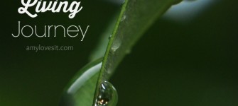 My Natural Living Journey | AmyLovesIt.com