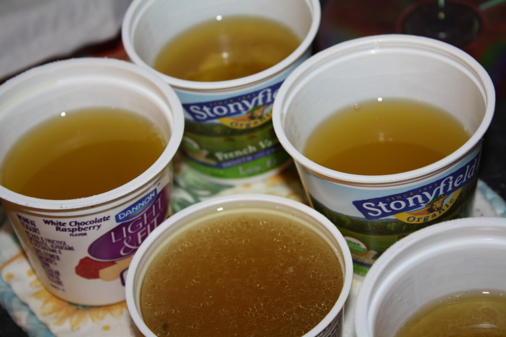 https://www.amylovesit.com/wp-content/uploads/2009/10/019.jpg Chicken juices ready for freezing