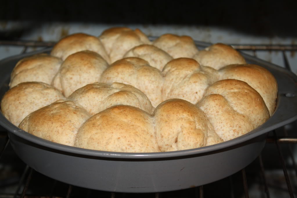 Simple Pull-Apart Rolls... tweaked a bit by using half white and half wheat flour