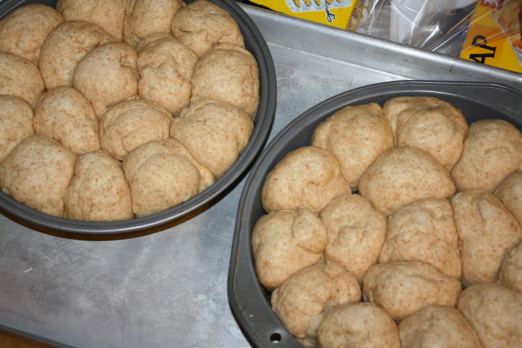 More rolls waiting to be baked!