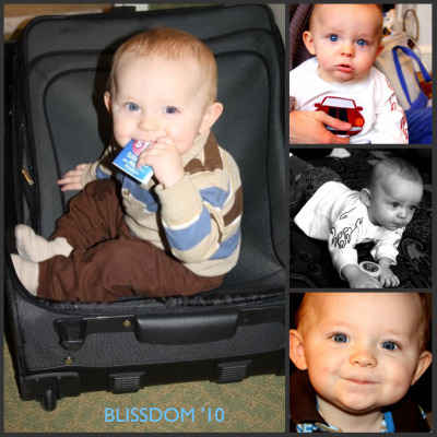 blissdom-collage