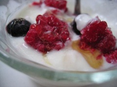 homemade yogurt with frozen fruit