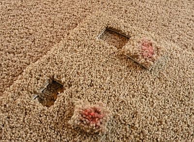 nail-polish-carpet