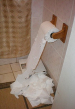 cat-toy