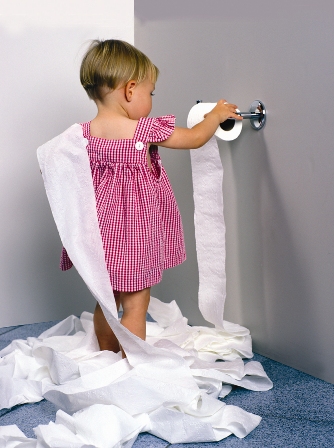 toilet-paper-toy