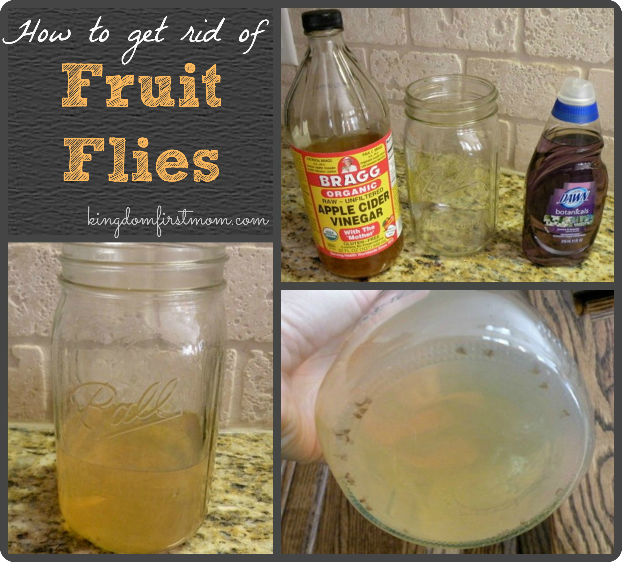 how to get rid of fruit flies1
