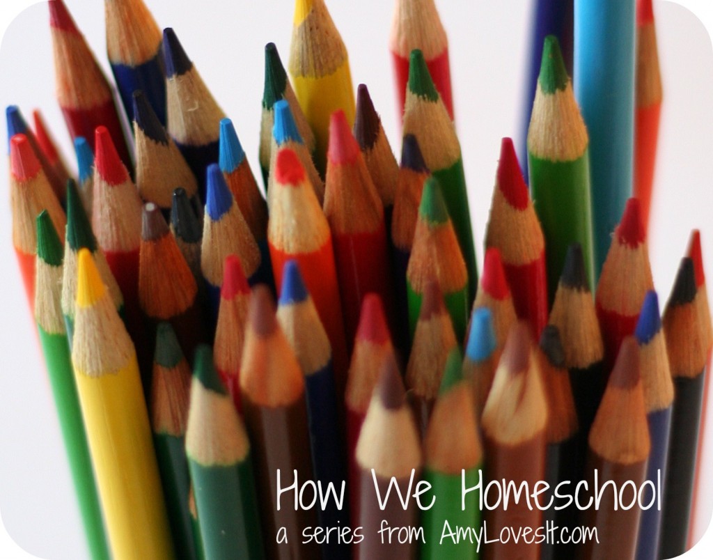 How We Homeschool Series