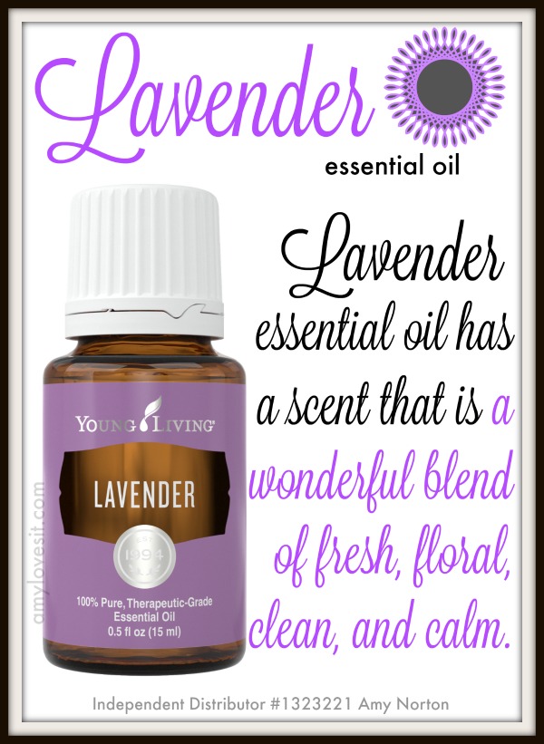8 Uses for Lavender Essential Oil | AmyLovesIt.com