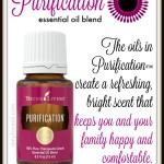 So Fresh and So Clean with Purification Essential Oil Blend | AmyLovesIt.com