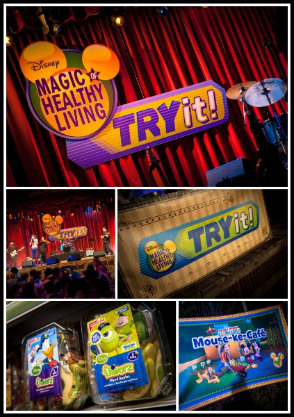 Disneyland_Day_Two_TryIt