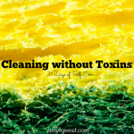 Cleaning without Toxins | AmyLovesIt.com #write31days