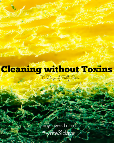 Cleaning without Toxins | AmyLovesIt.com #write31days