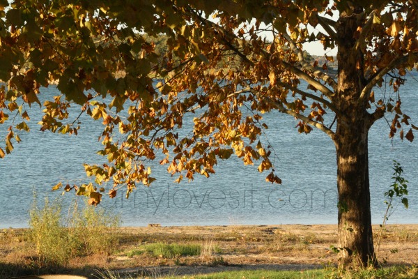 Lake Murray in Fall