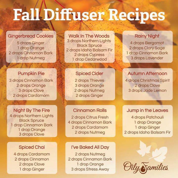 Fall Diffuser Aromas and Combinations