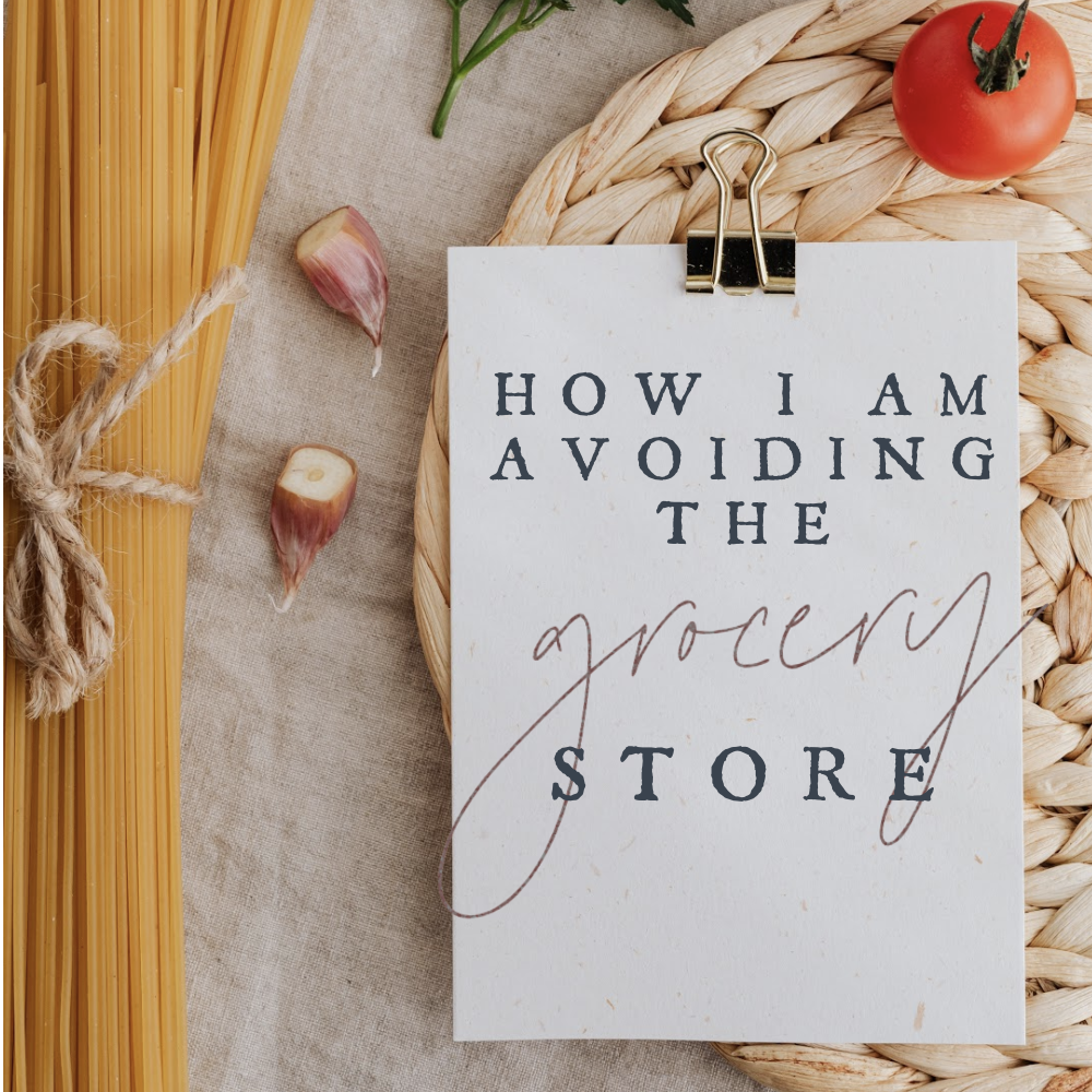 How I am Avoiding the Grocery Store || AmyLovesIt.com